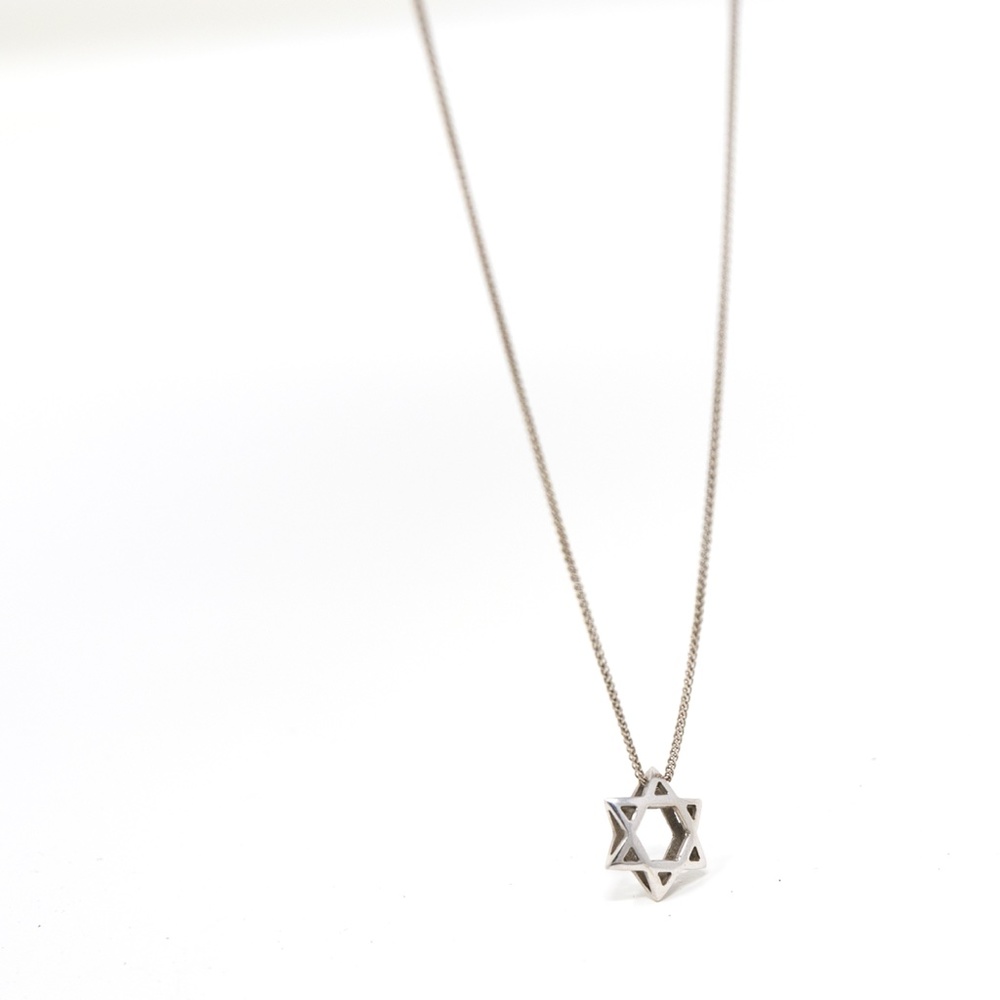 3D 14kt White Gold Star of David Charm & Necklace